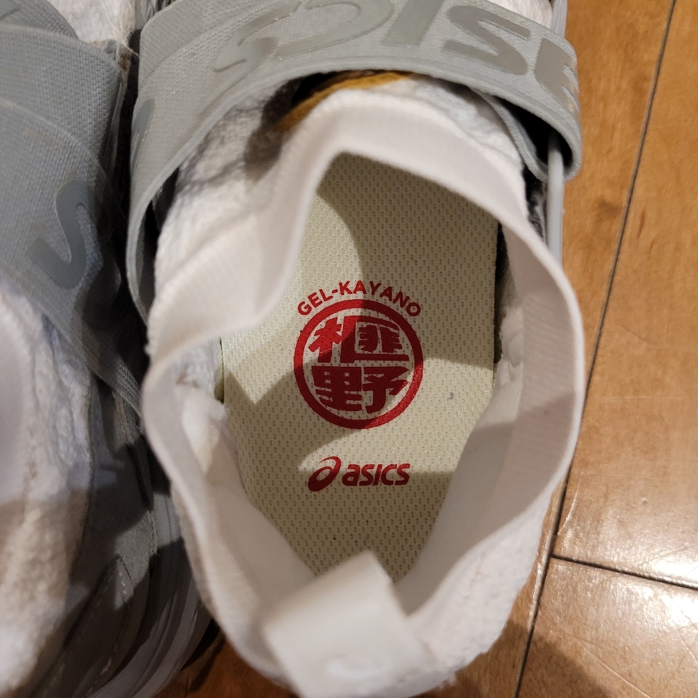 Asics Gel Kayano